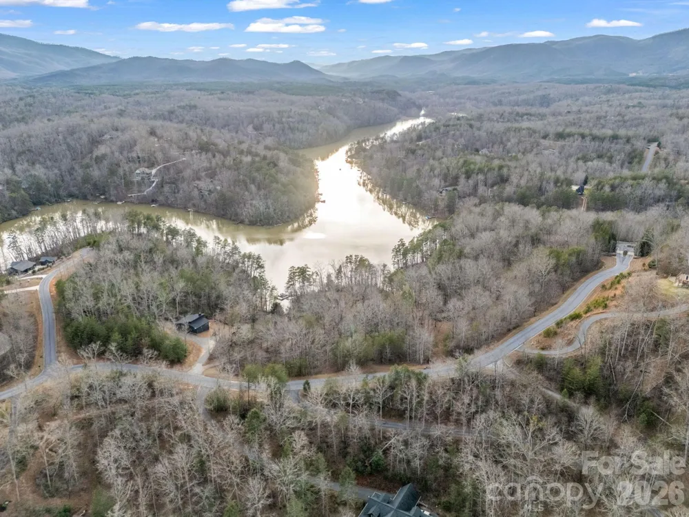 2 Jackson Cove Road W Mill Spring, NC 28756
