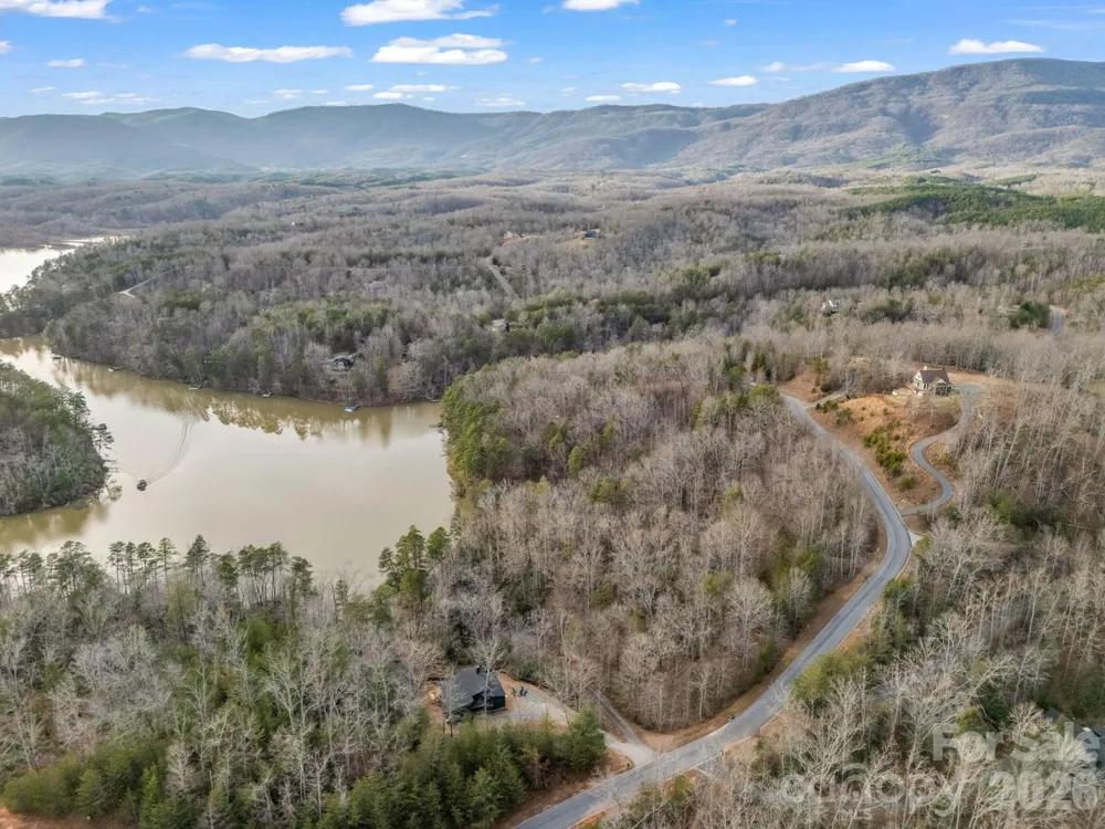 2 Jackson Cove Road W Mill Spring, NC 28756