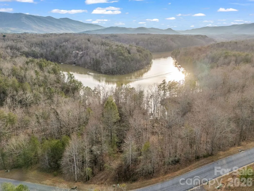 2 Jackson Cove Road W Mill Spring, NC 28756
