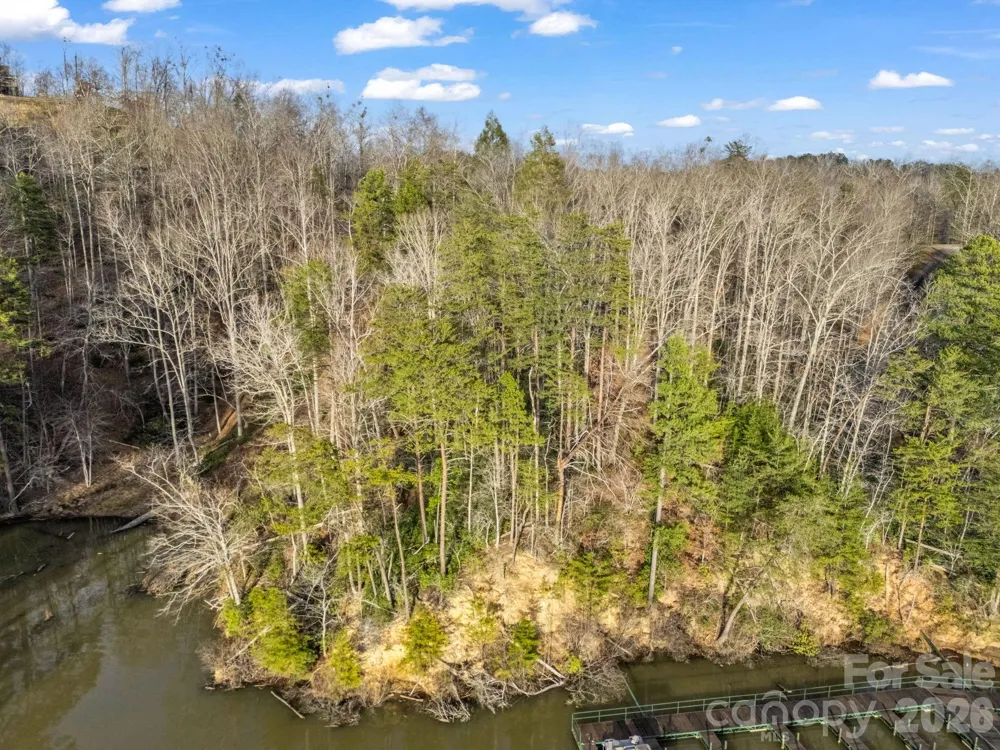 2 Jackson Cove Road W Mill Spring, NC 28756
