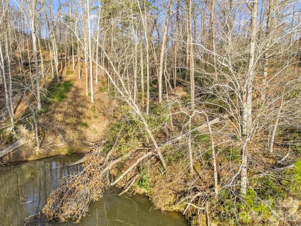 2 Jackson Cove Road W Mill Spring, NC 28756