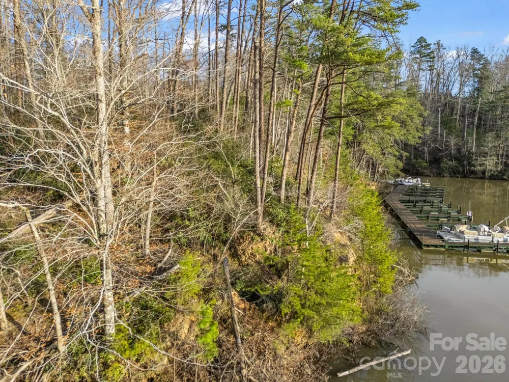 2 Jackson Cove Road W Mill Spring, NC 28756