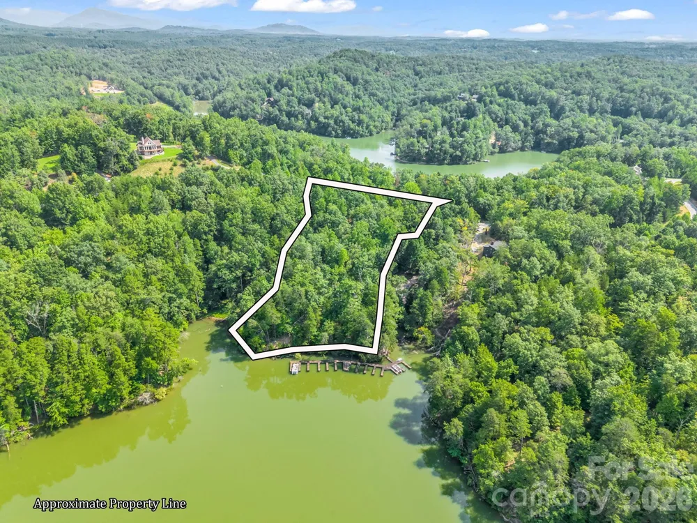 2 Jackson Cove Road W Mill Spring, NC 28756