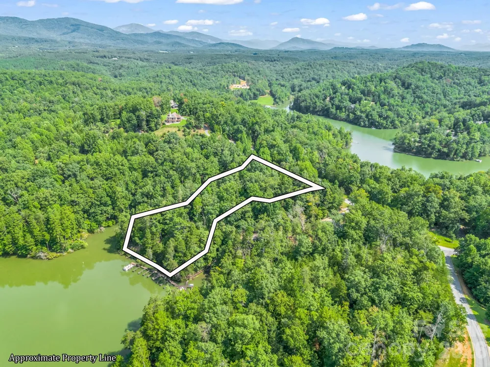 2 Jackson Cove Road W Mill Spring, NC 28756