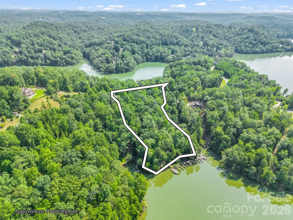 2 Jackson Cove Road W Mill Spring, NC 28756