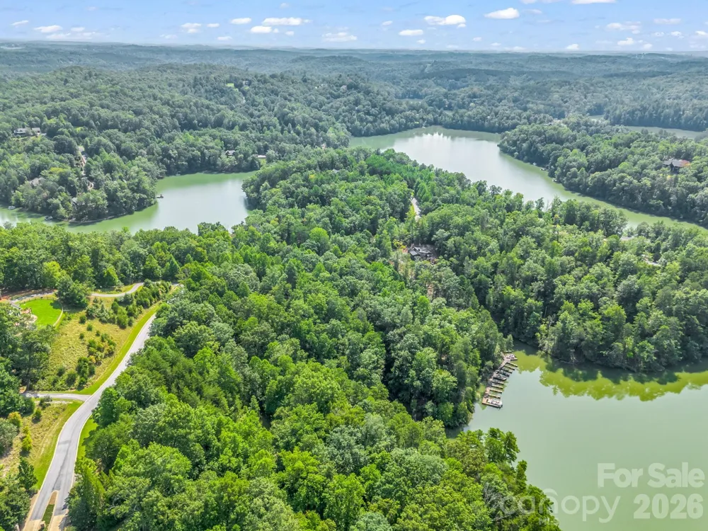 2 Jackson Cove Road W Mill Spring, NC 28756