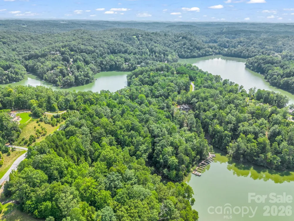 2 Jackson Cove Road W Mill Spring, NC 28756