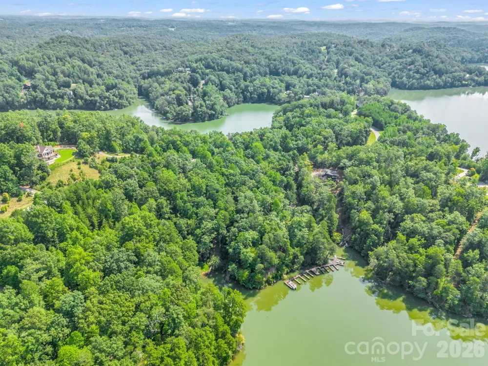 2 Jackson Cove Road W Mill Spring, NC 28756