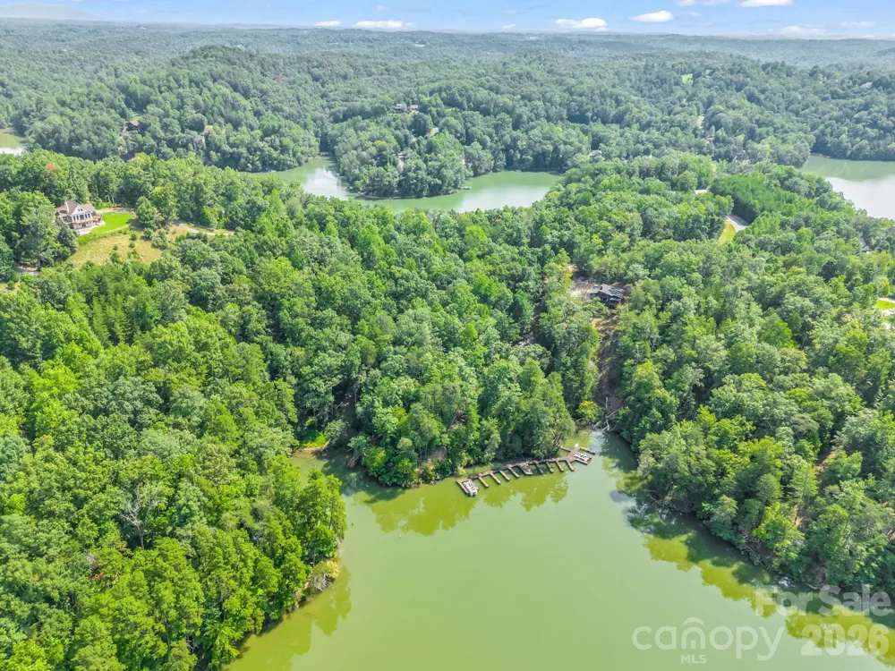 2 Jackson Cove Road W Mill Spring, NC 28756