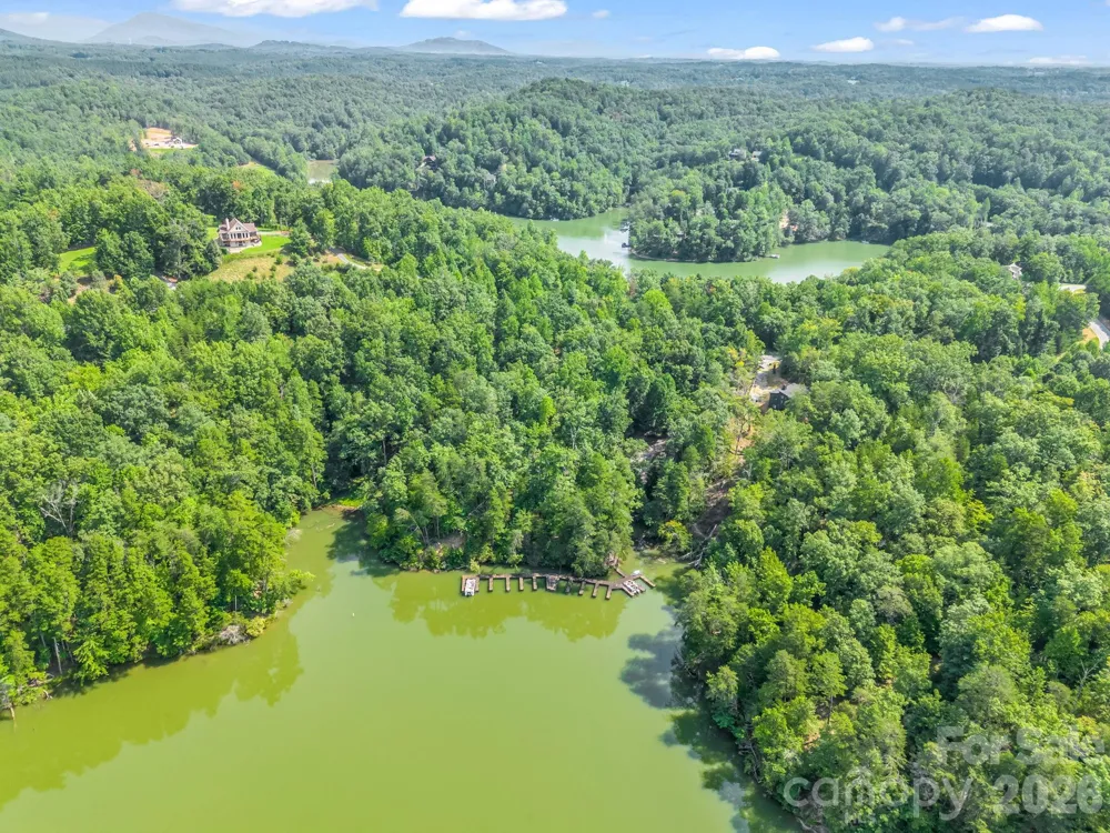 2 Jackson Cove Road W Mill Spring, NC 28756