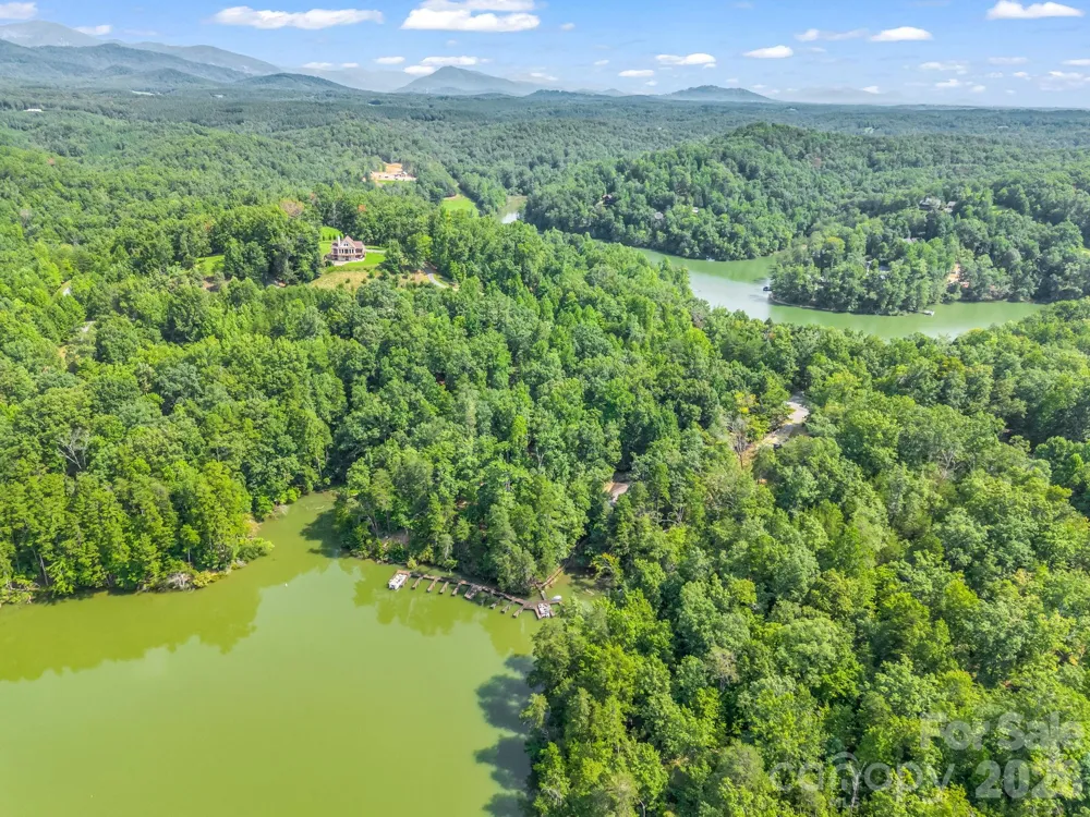 2 Jackson Cove Road W Mill Spring, NC 28756
