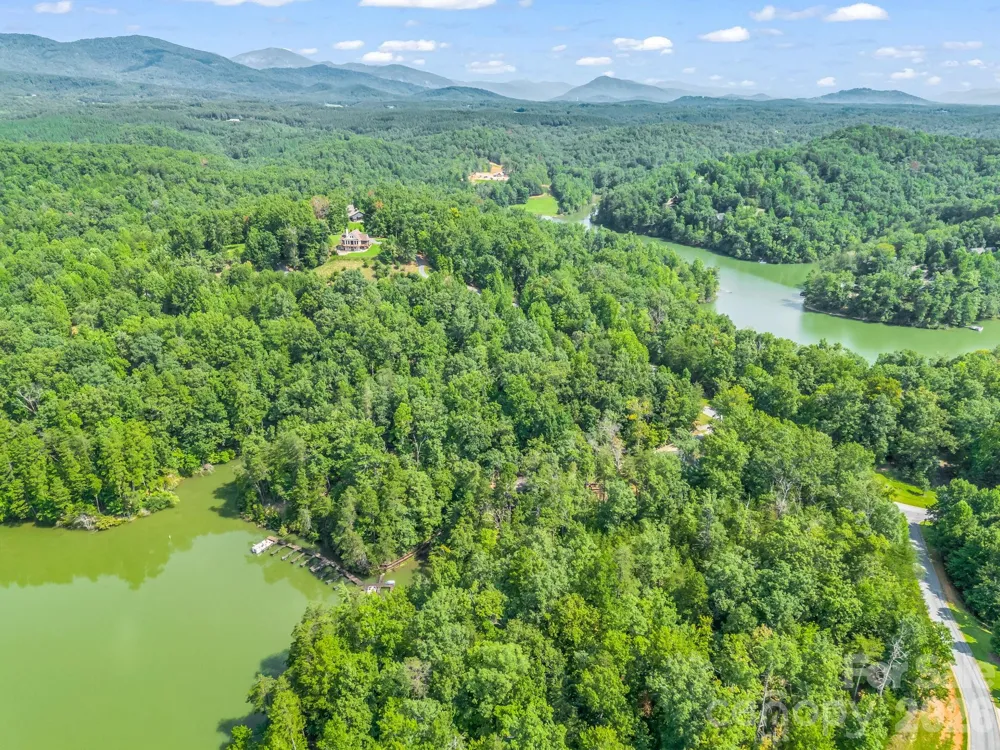2 Jackson Cove Road W Mill Spring, NC 28756
