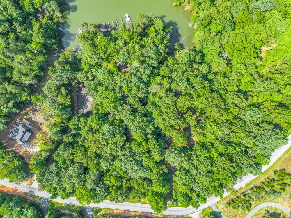 2 Jackson Cove Road W Mill Spring, NC 28756