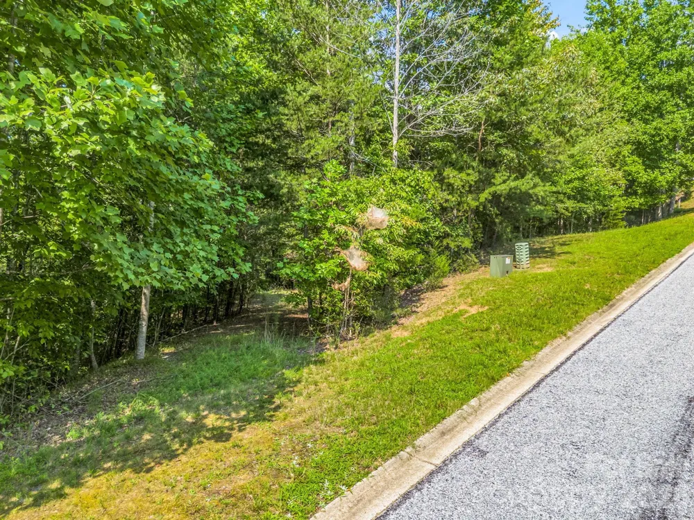 2 Jackson Cove Road W Mill Spring, NC 28756