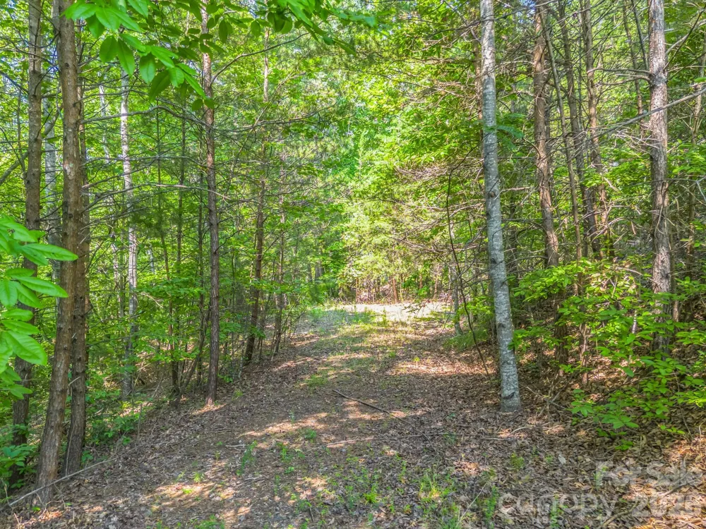 2 Jackson Cove Road W Mill Spring, NC 28756