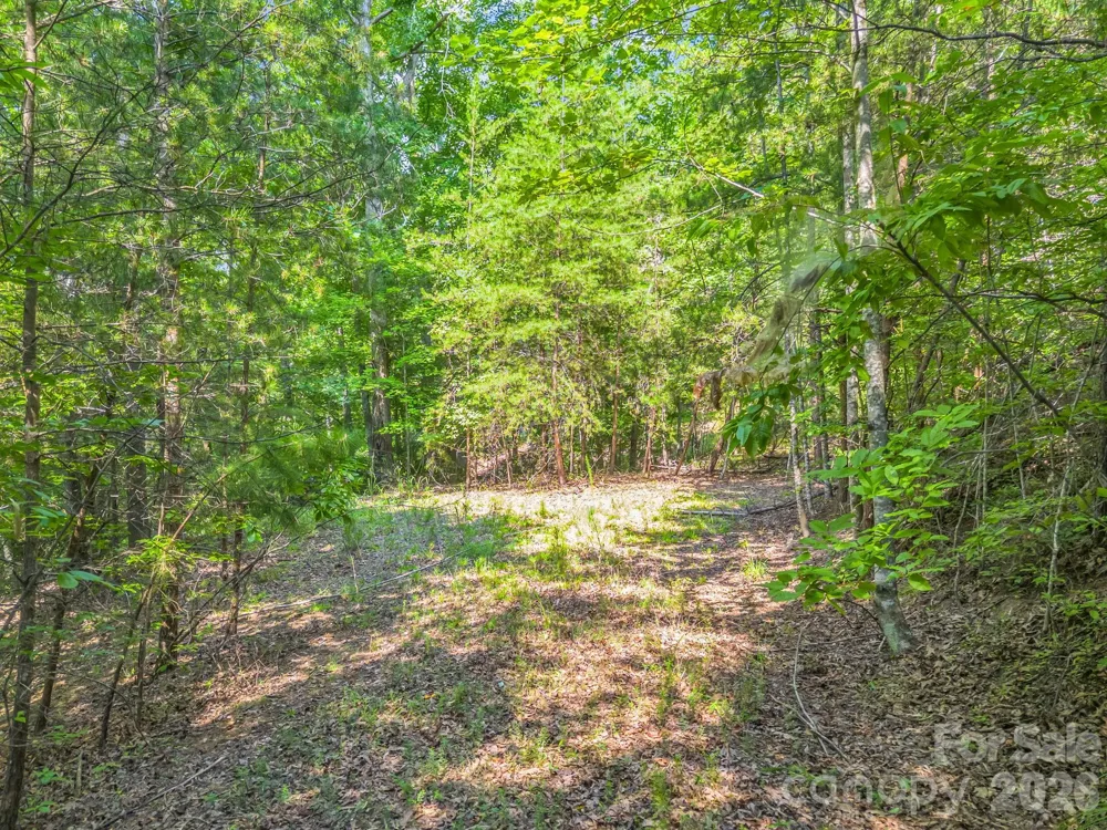 2 Jackson Cove Road W Mill Spring, NC 28756