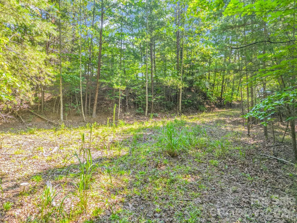 2 Jackson Cove Road W Mill Spring, NC 28756