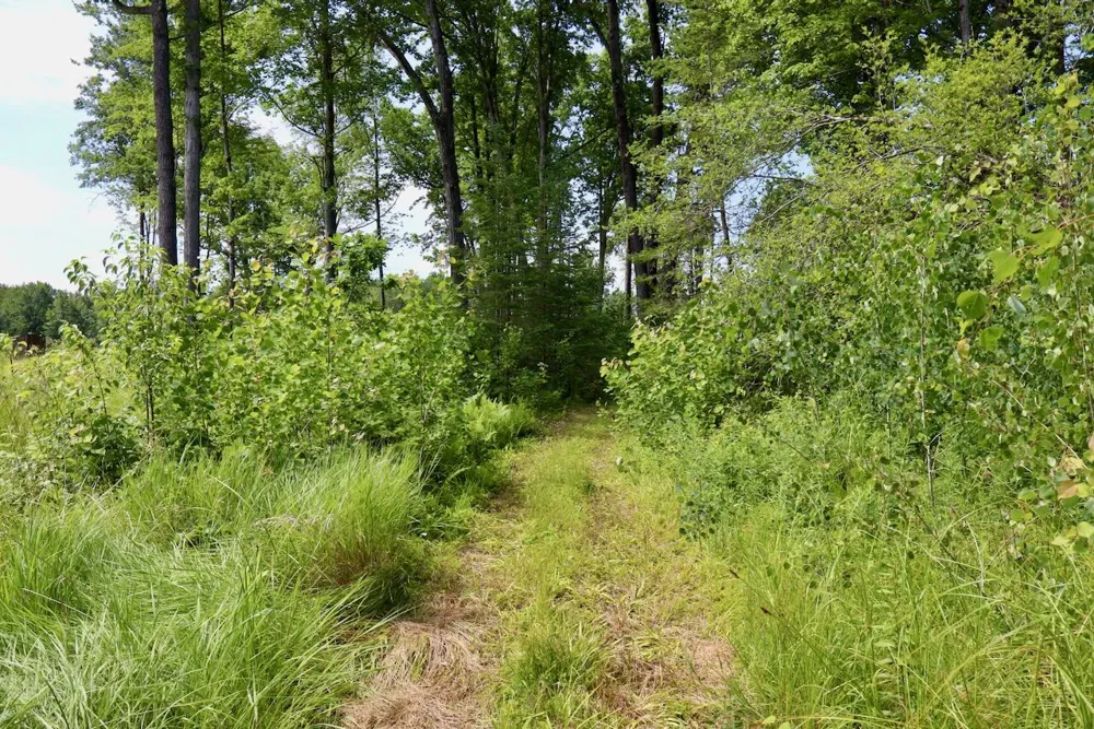 20 W Clarence Road Harrison, MI 48625