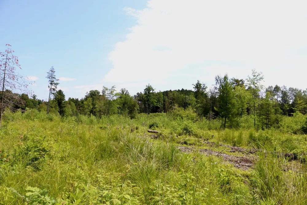 20 W Clarence Road Harrison, MI 48625