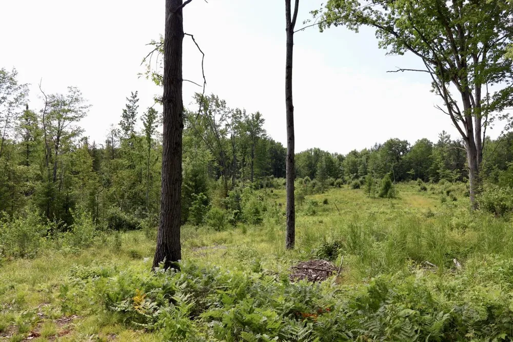 20 W Clarence Road Harrison, MI 48625