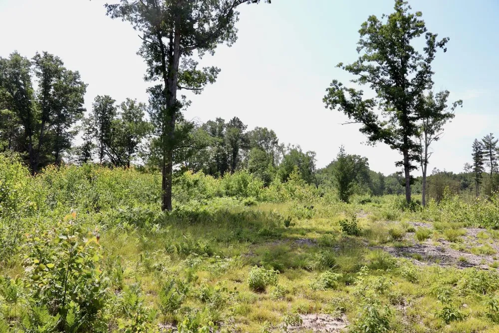 20 W Clarence Road Harrison, MI 48625