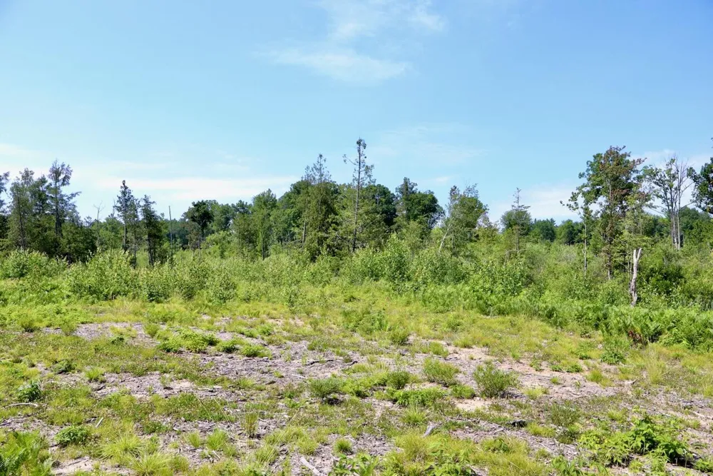 20 W Clarence Road Harrison, MI 48625