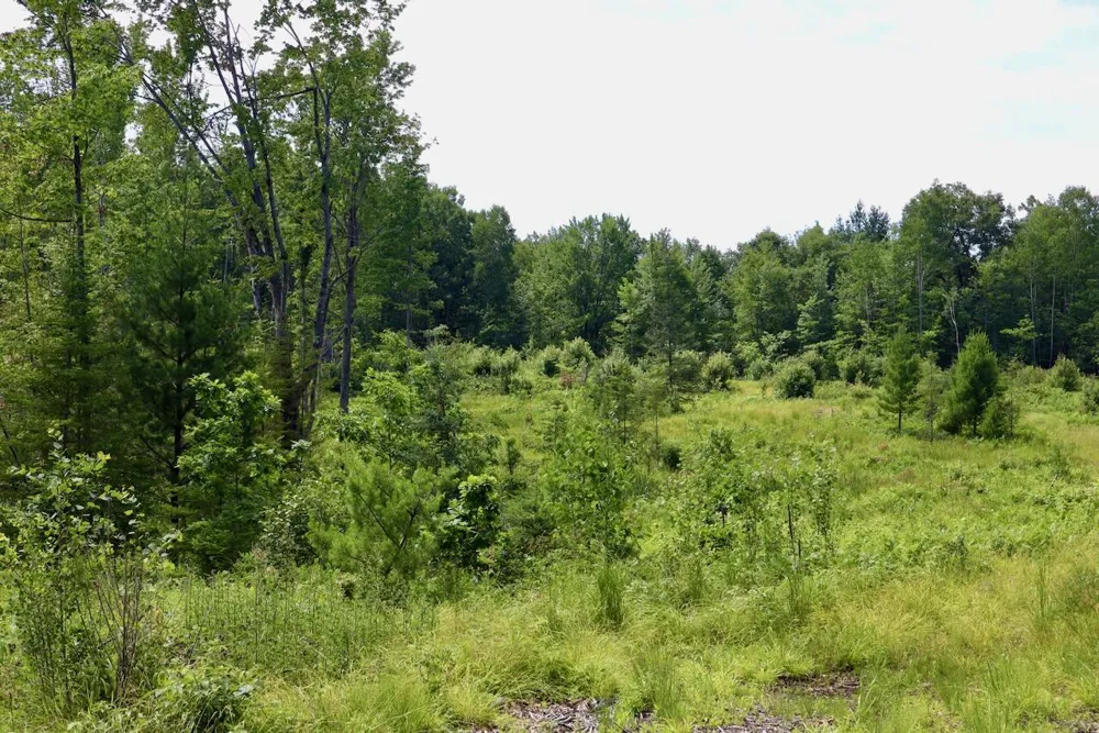20 W Clarence Road Harrison, MI 48625
