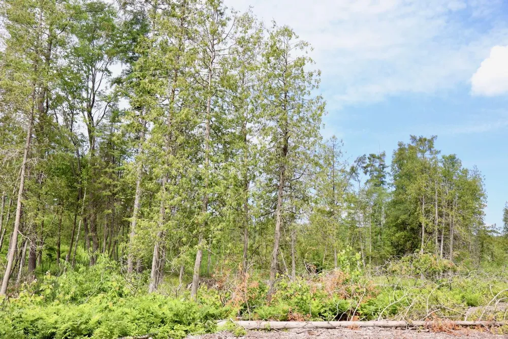 20 W Clarence Road Harrison, MI 48625