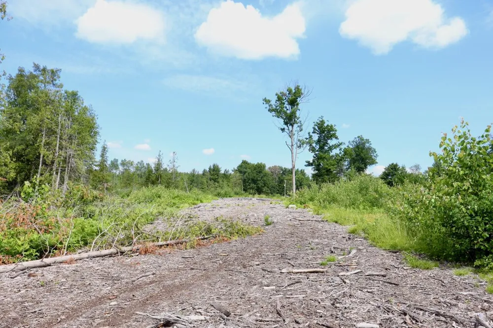 20 W Clarence Road Harrison, MI 48625