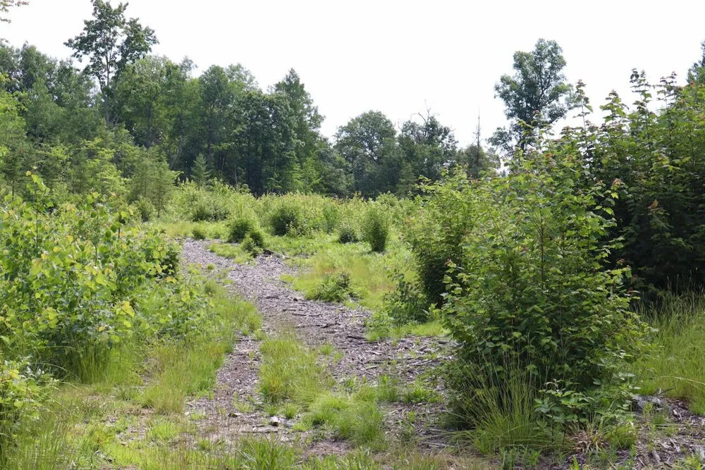 20 W Clarence Road Harrison, MI 48625