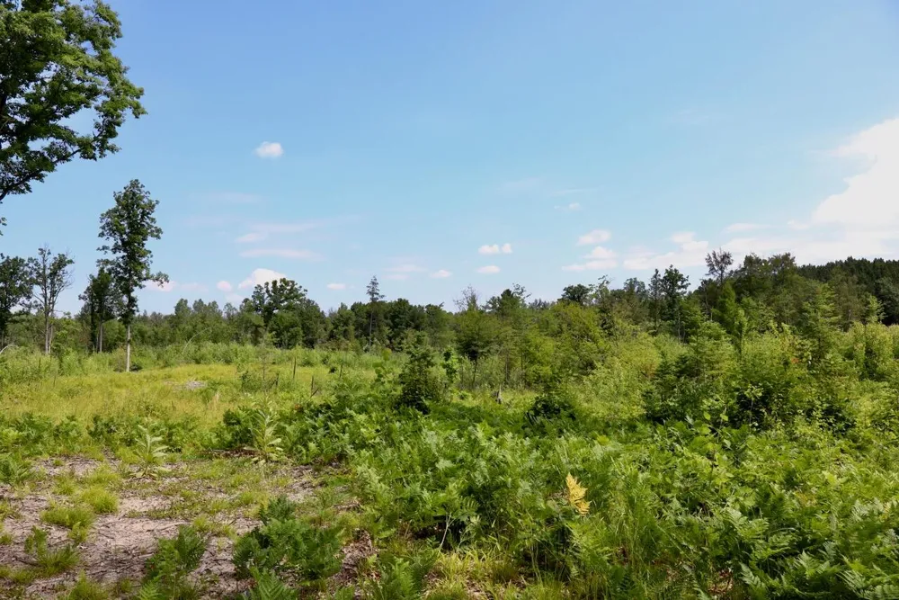 20 W Clarence Road Harrison, MI 48625