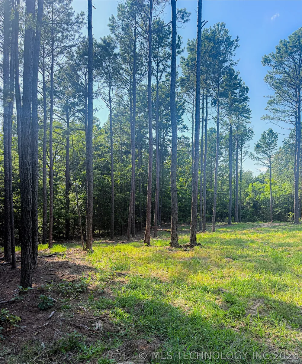 2 E 2030 ROAD Fort Towson, OK 74735
