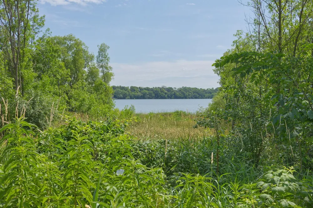 8412 Ingram Avenue SW Howard Lake, MN 55349