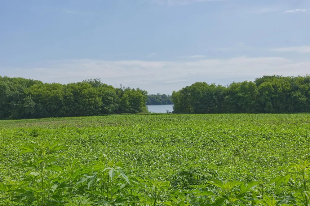 8412 Ingram Avenue SW Howard Lake, MN 55349