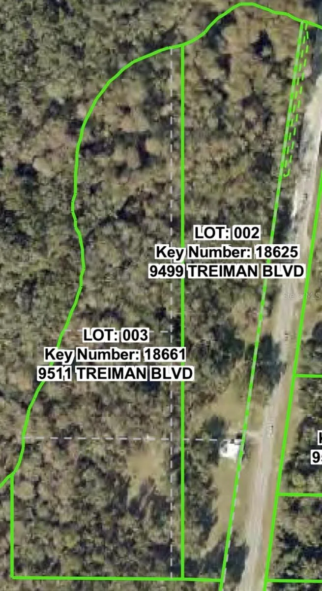 9499 TREIMAN BOULEVARD Webster, FL 33597