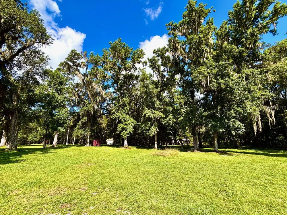9499 TREIMAN BOULEVARD Webster, FL 33597