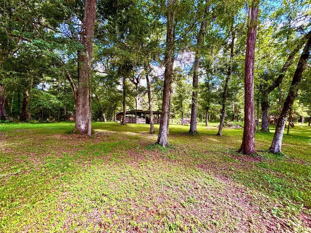 9499 TREIMAN BOULEVARD Webster, FL 33597