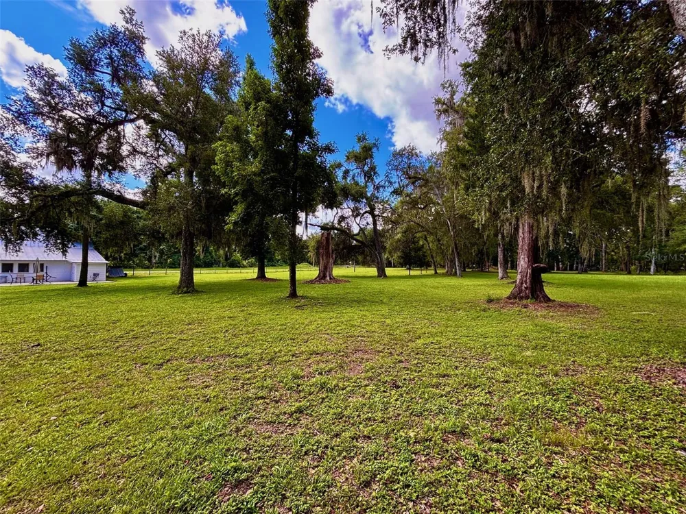 9499 TREIMAN BOULEVARD Webster, FL 33597