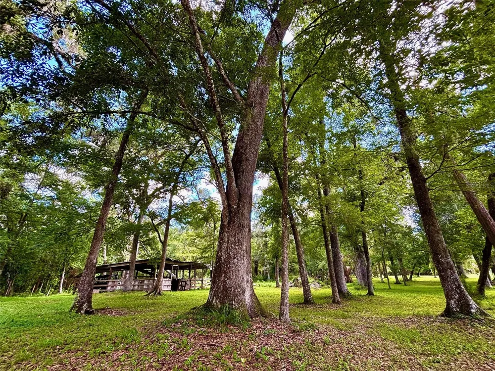 9499 TREIMAN BOULEVARD Webster, FL 33597