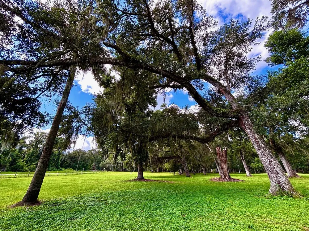 9499 TREIMAN BOULEVARD Webster, FL 33597