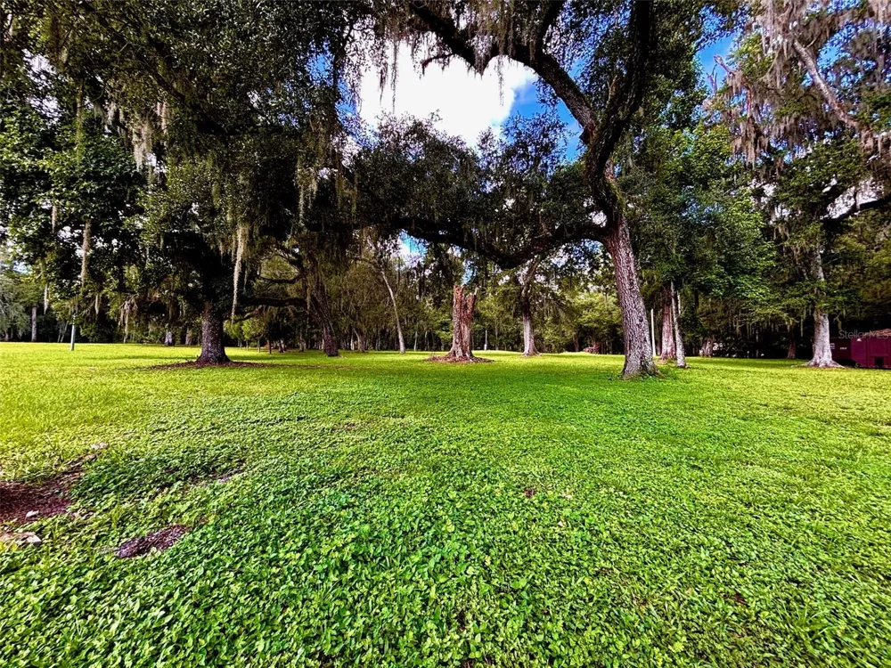 9499 TREIMAN BOULEVARD Webster, FL 33597
