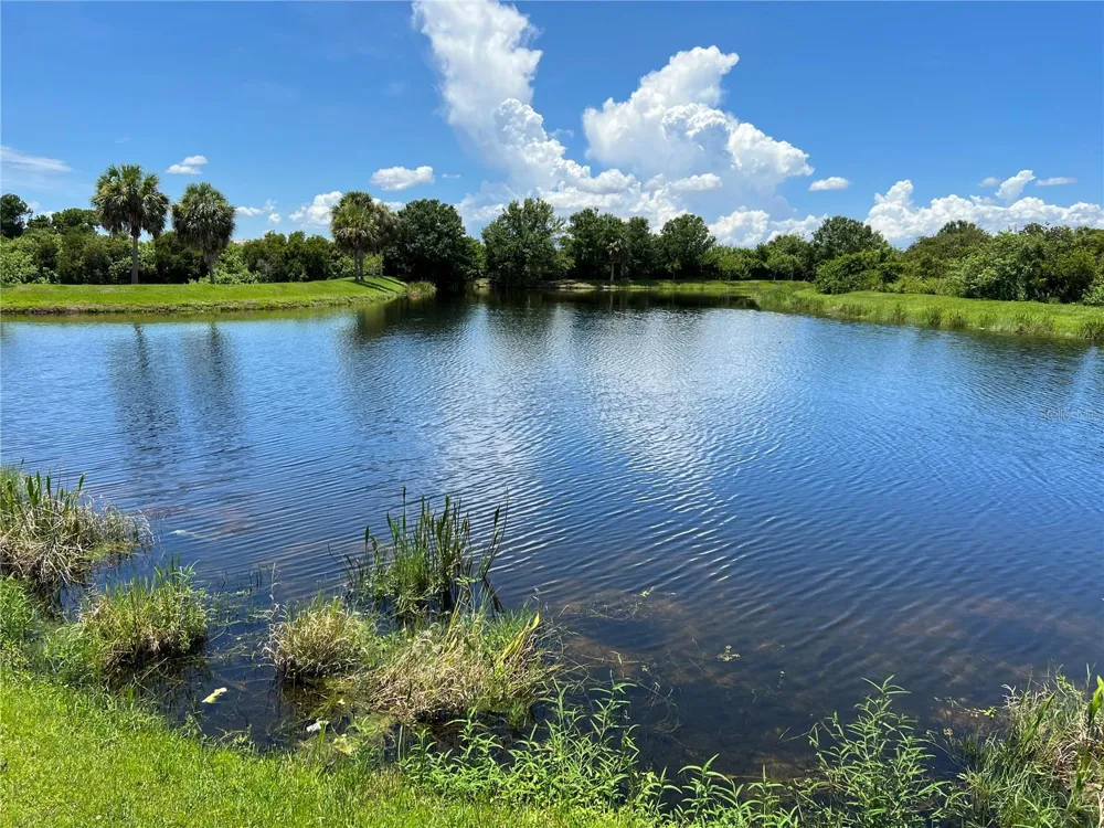 6431 CYPRESSDALE DRIVE #202 Riverview, FL 33578