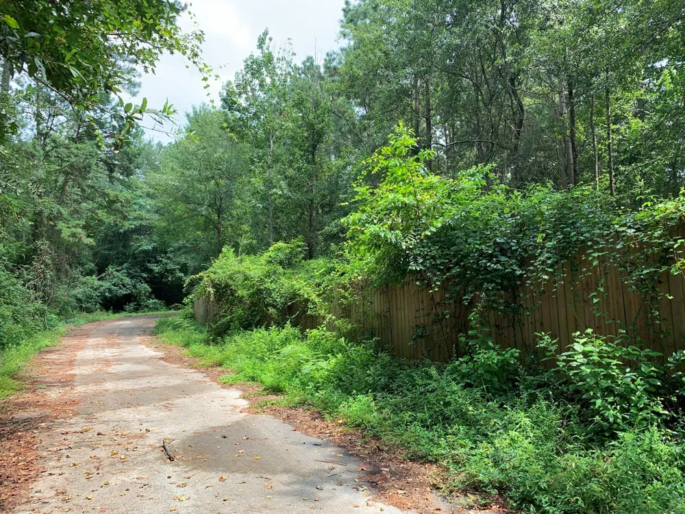 14 Bluebonnet Street Newton, TX 75966