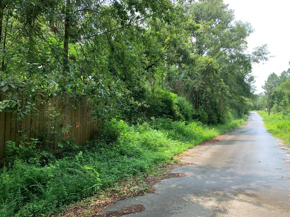 14 Bluebonnet Street Newton, TX 75966