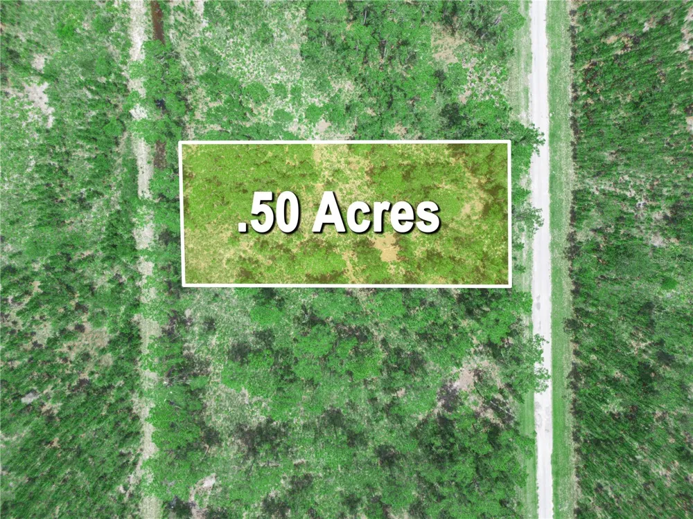 0 VALENCIA DRIVE Indian Lake Estates, FL 33855