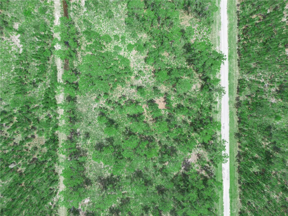 0 VALENCIA DRIVE Indian Lake Estates, FL 33855