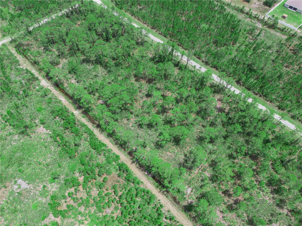 0 VALENCIA DRIVE Indian Lake Estates, FL 33855