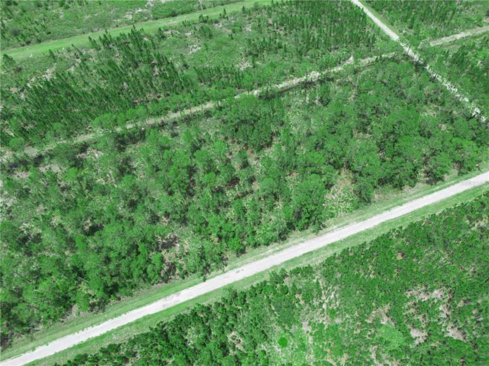 0 VALENCIA DRIVE Indian Lake Estates, FL 33855