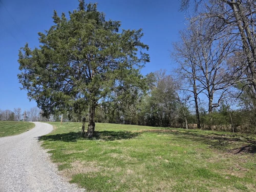 0 Eagle View Ln McMinnville, TN 37110