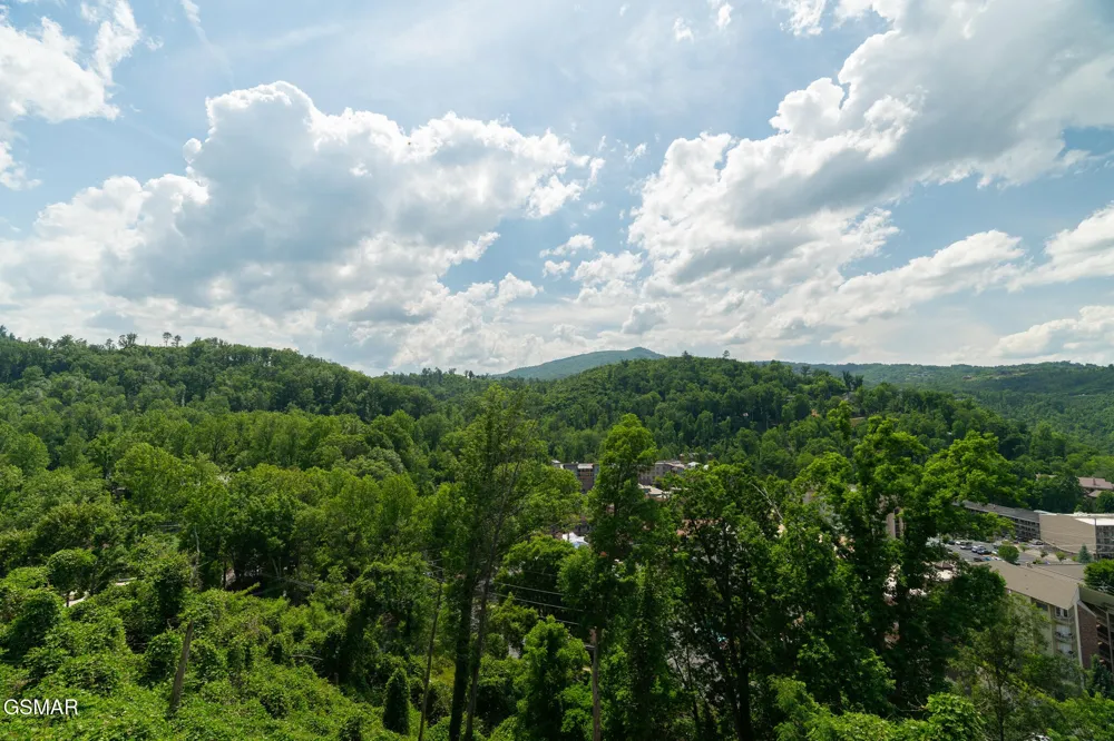 748 Widows Knob Road Gatlinburg, TN 37738